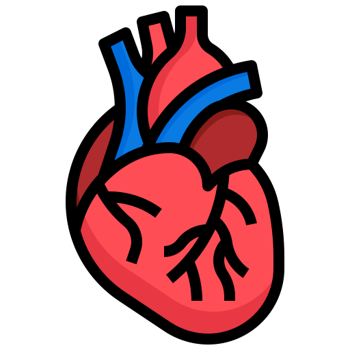 Heart icon representing Organ Transplant